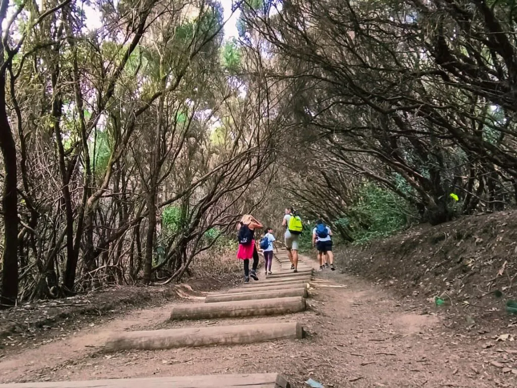 8 Mosquetones Adventure