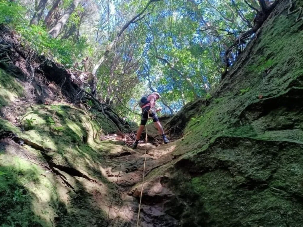 8 Mosquetones Adventure