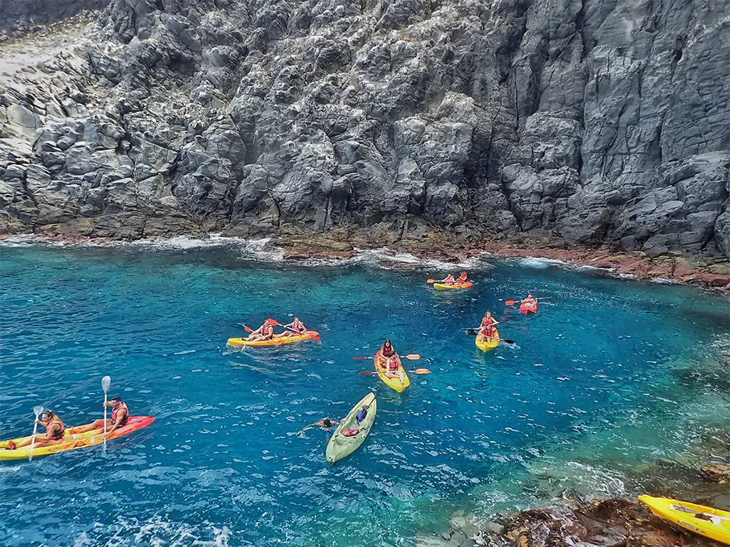 Adventoure - Safari Kayak Tour