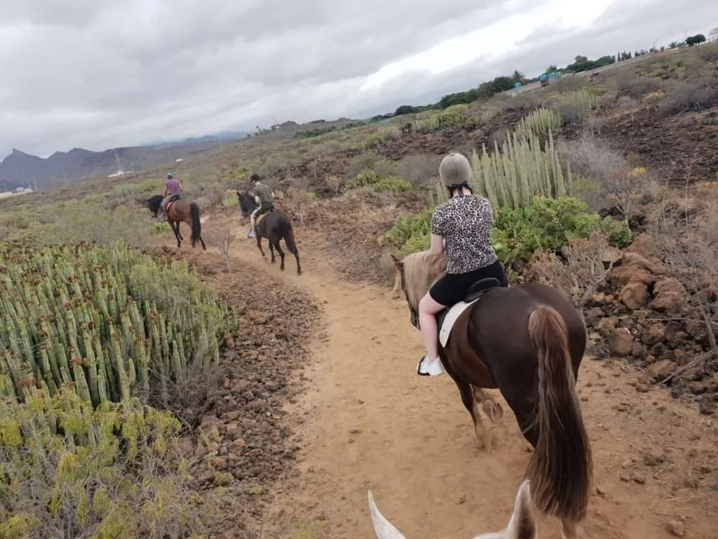 Xanadú Hípico Center