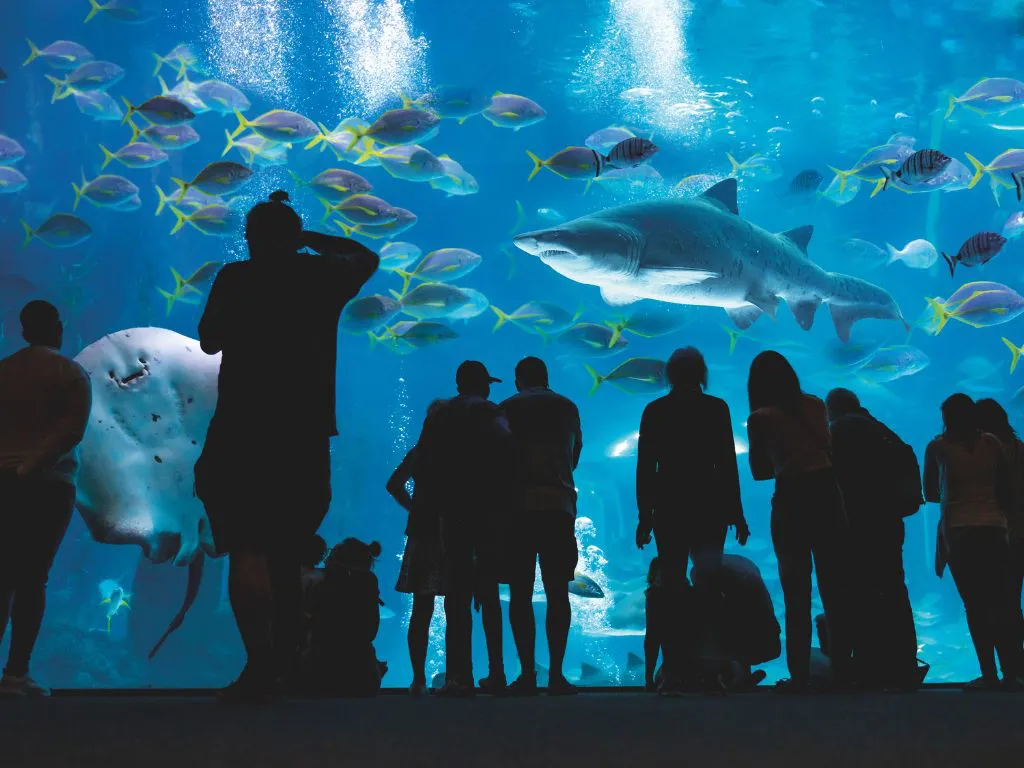 Gran Canaria Experience