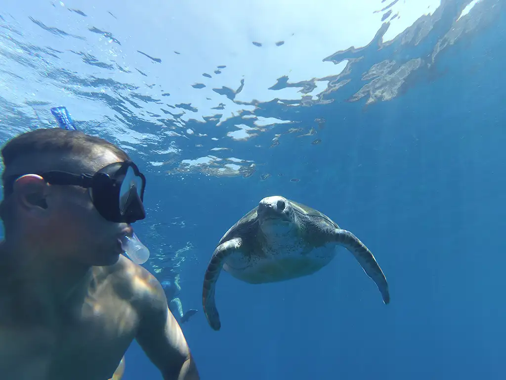 Kayaking & Stand Up Paddle Atlantis