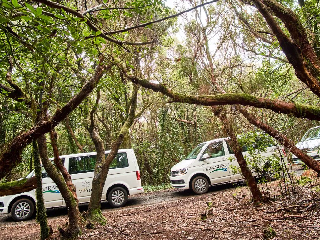 The Lagoon + Anaga VIP