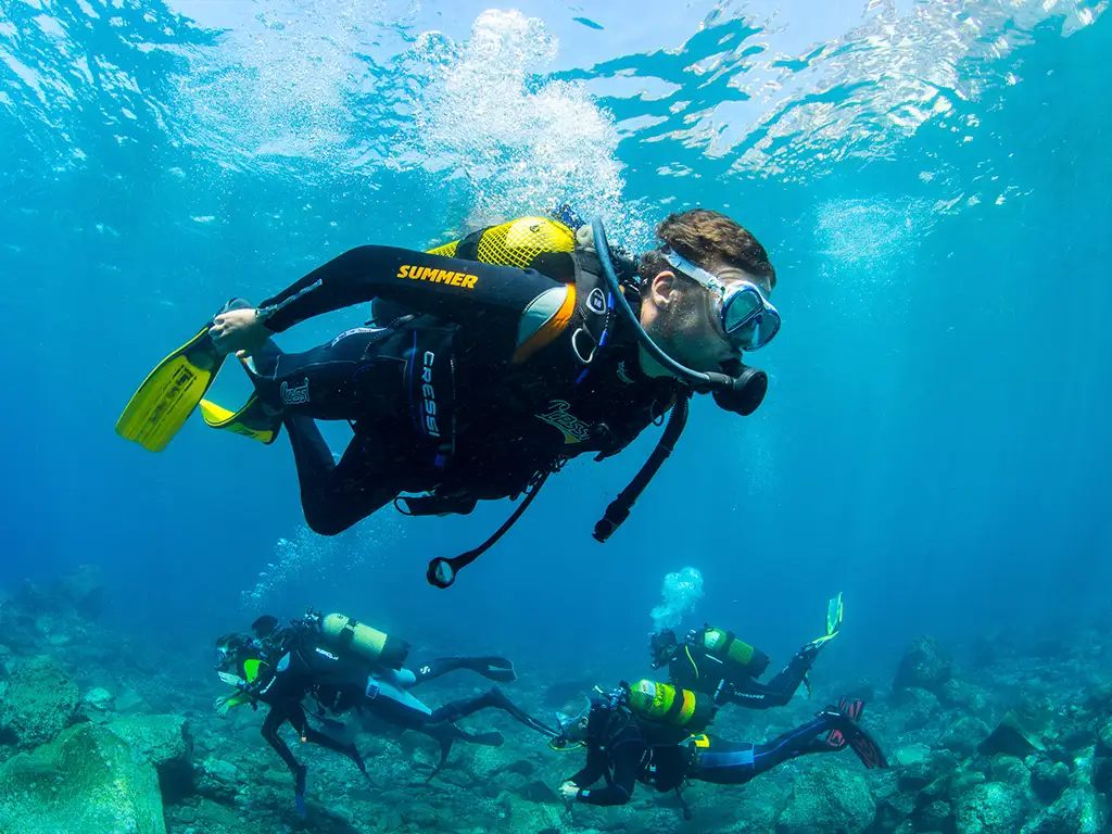 Macaronesian Divers & Store