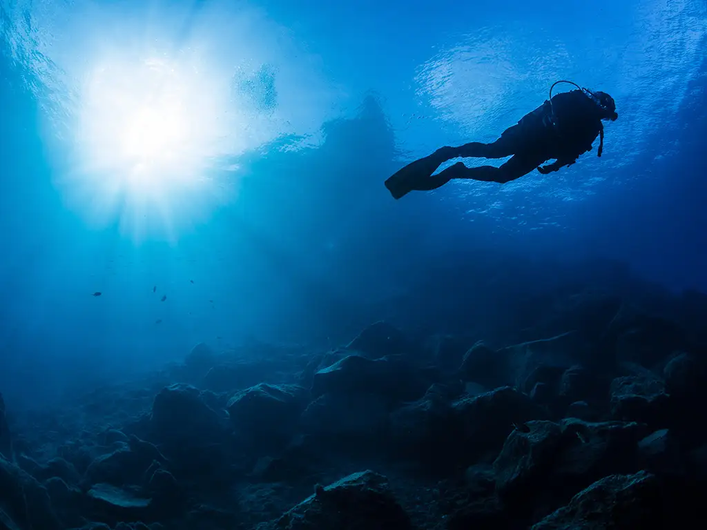 Macaronesian Divers & Store