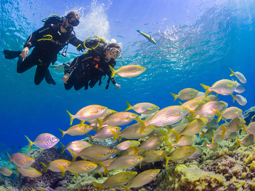 Macaronesian Divers & Store