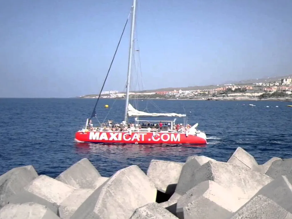 Maxicat Catamaran