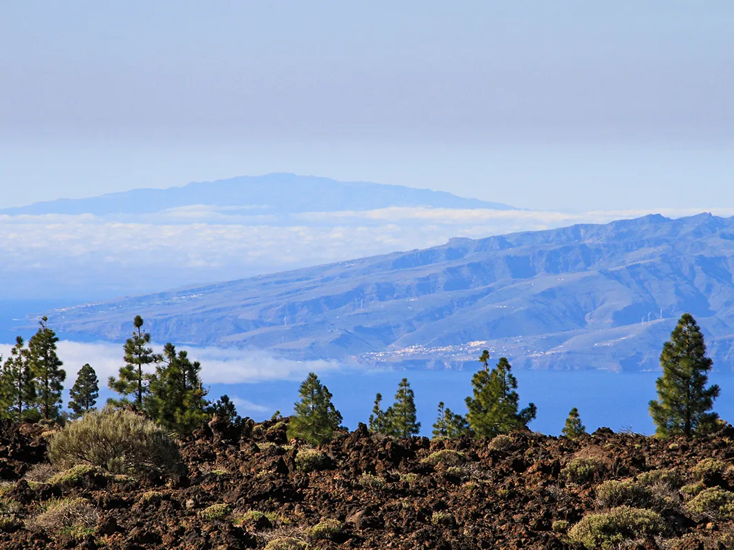 Mount Teide Half Day Tour