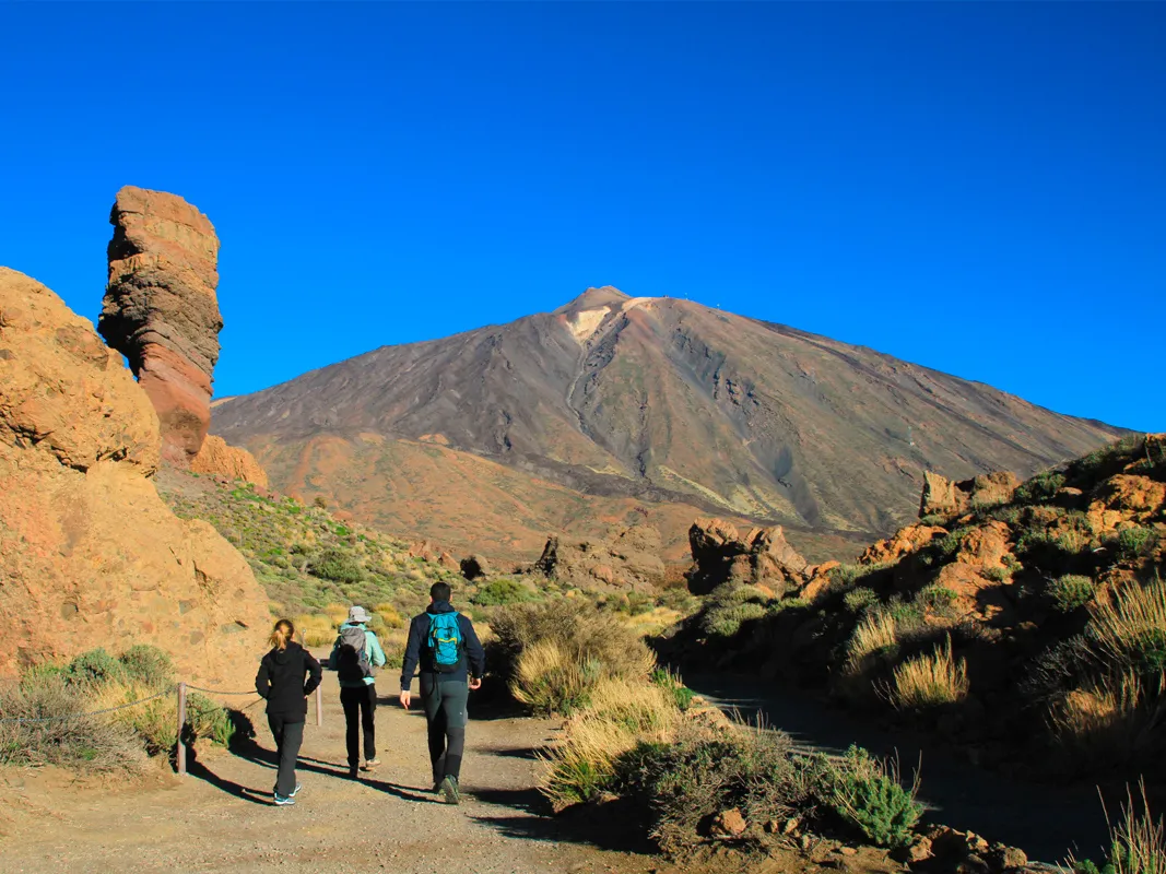Mount Teide Half Day Tour