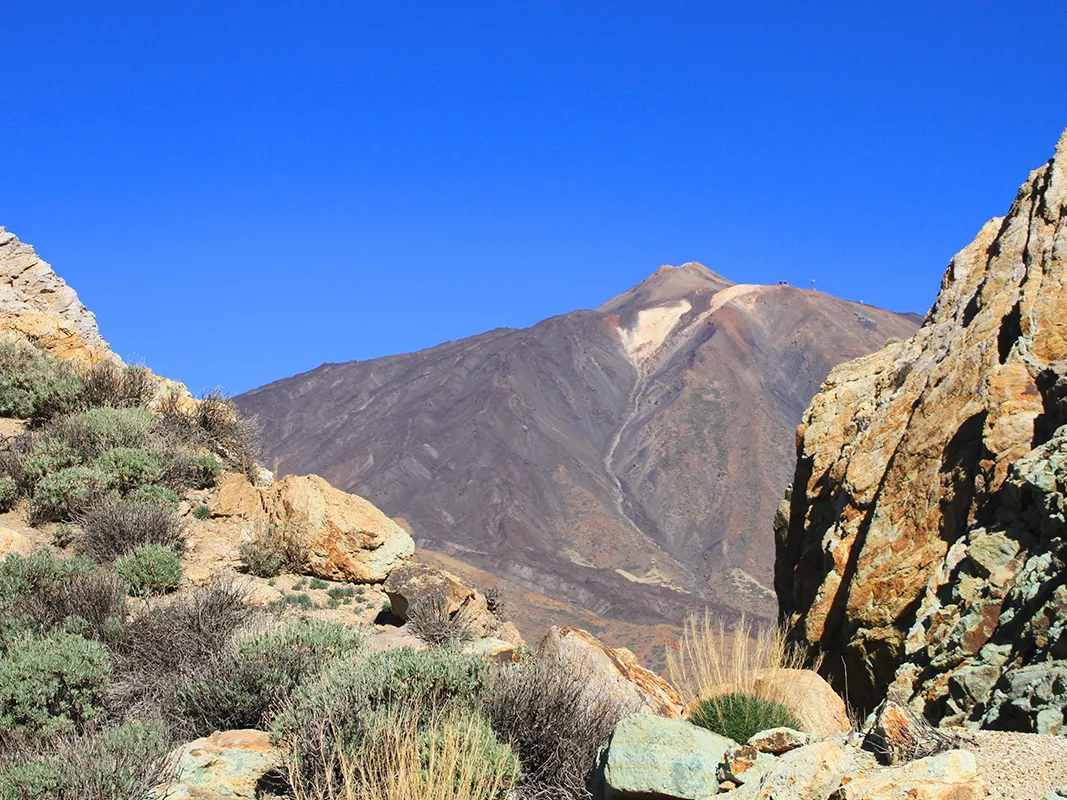 Mount Teide Half Day Tour
