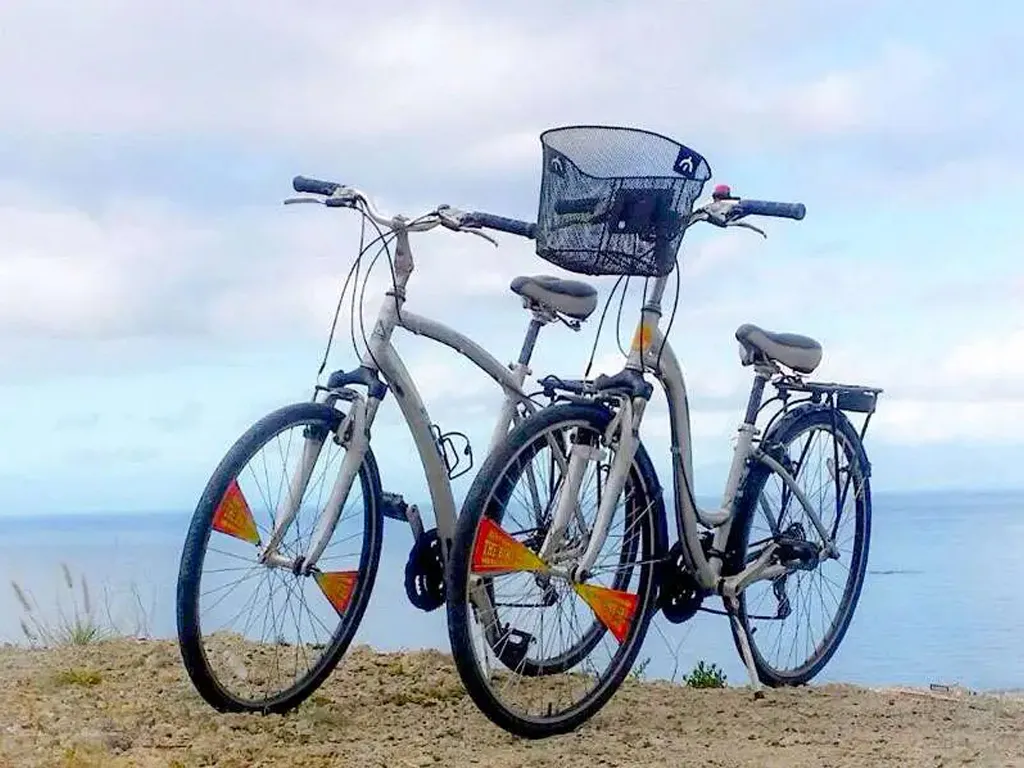 Mr. Bike - Bike Rental