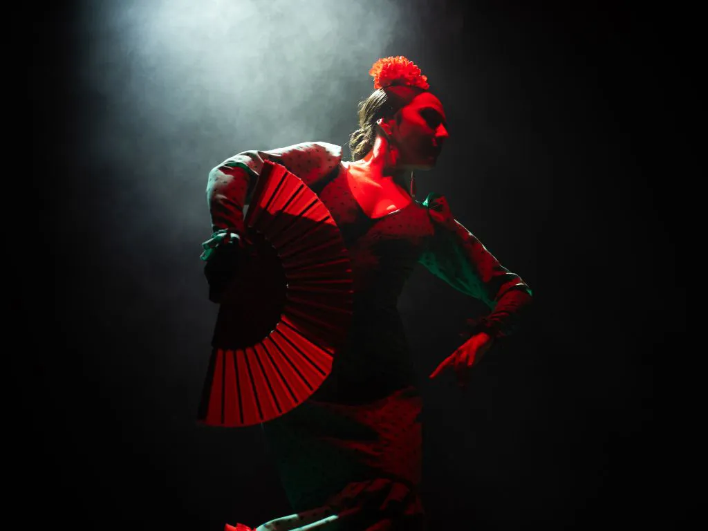 Olé Flamenco Show