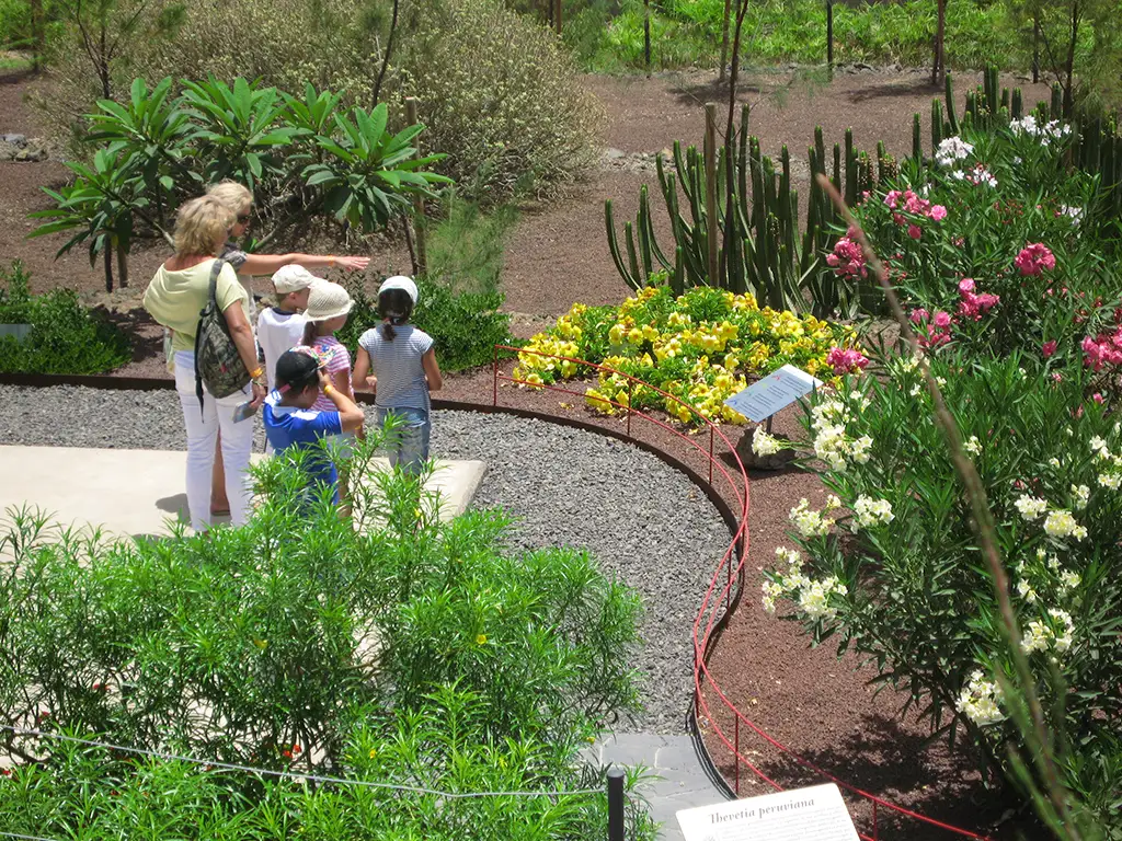 Piramides de Güímar