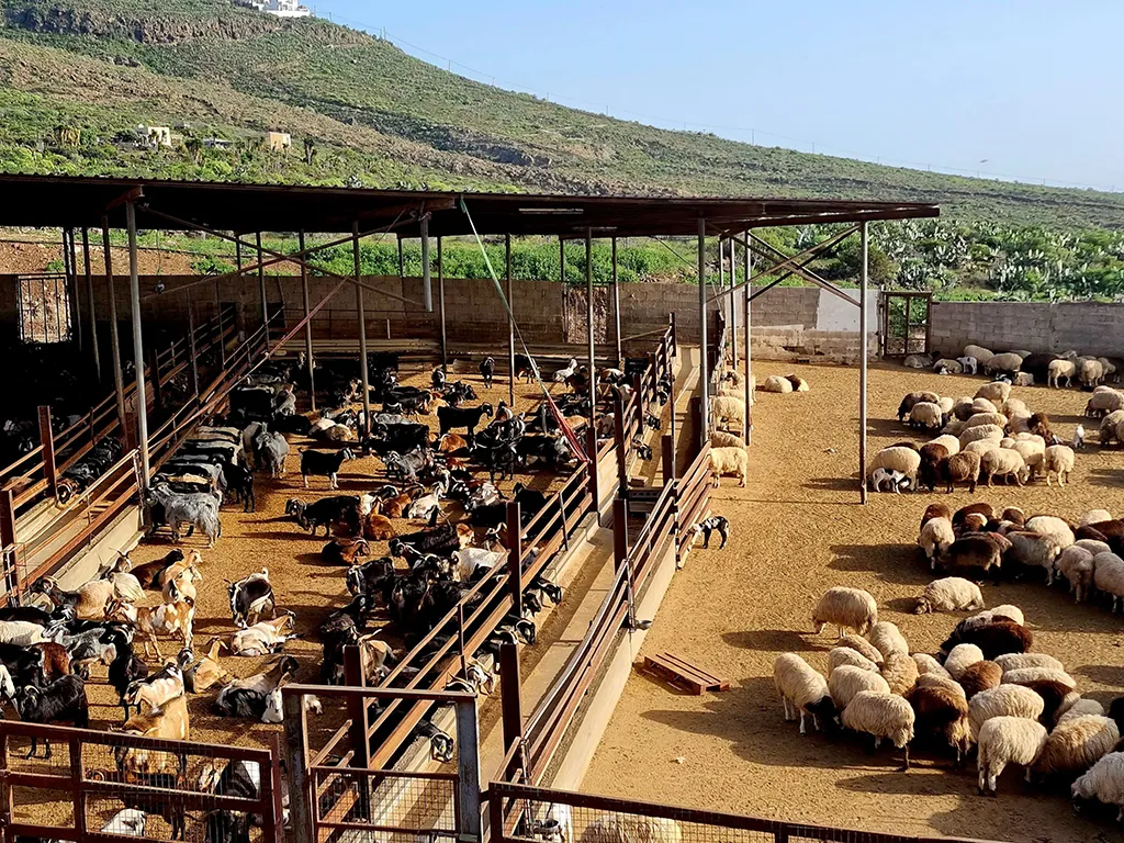 Queseria Montesdeoca