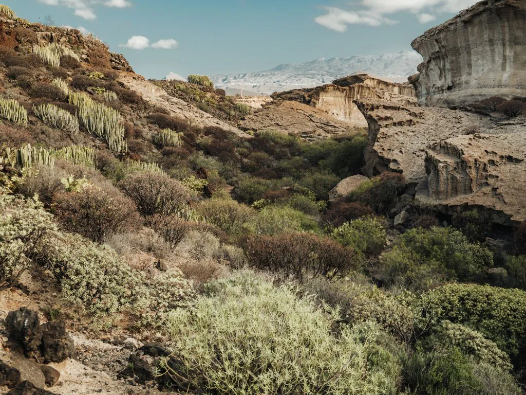 San Blas Environmental Reserve