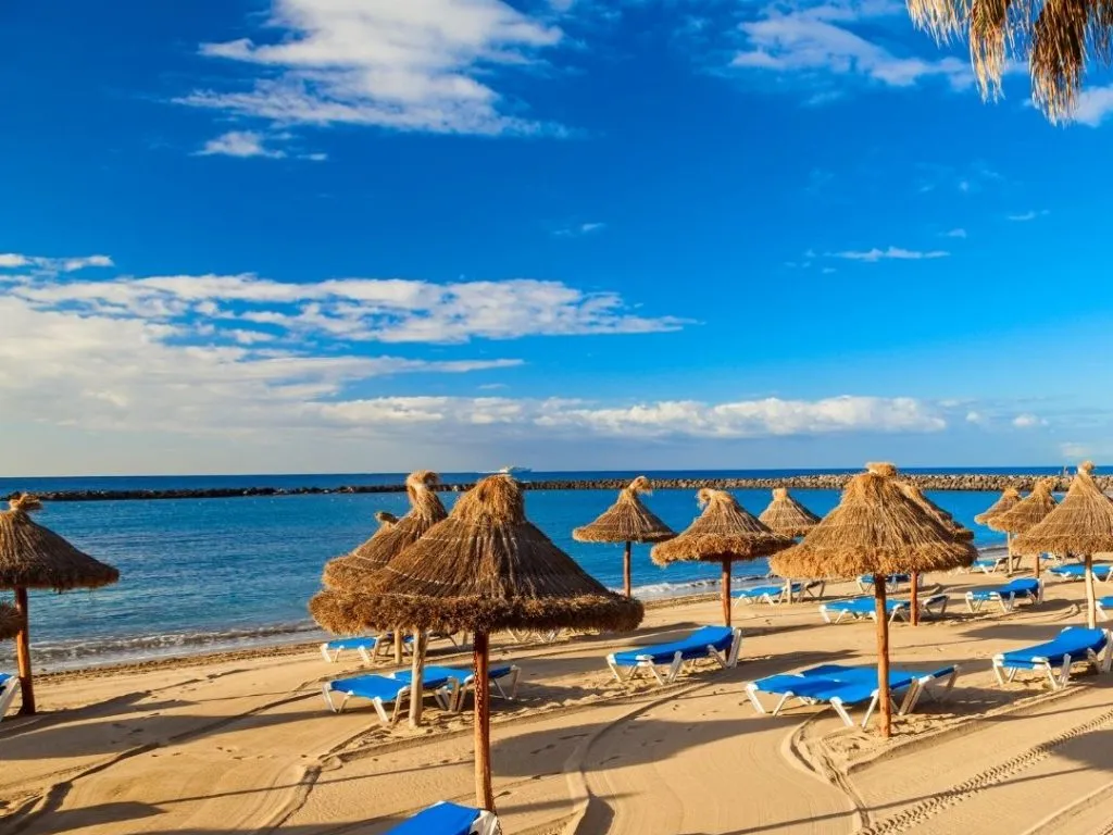 South Beaches and Markets